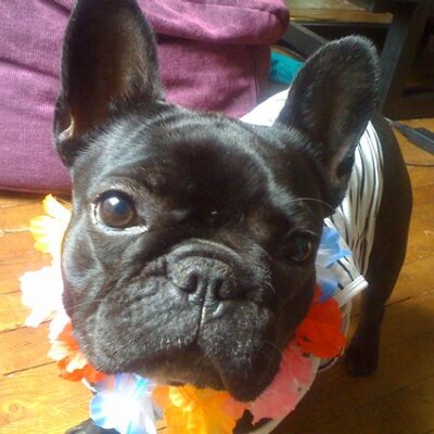 Profile Picture of Julia Simon (@JuliaSIMON) on Twitter