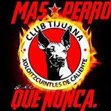 Profile Picture of Sara Janet Avelar Ro (@avelar_ro) on Twitter