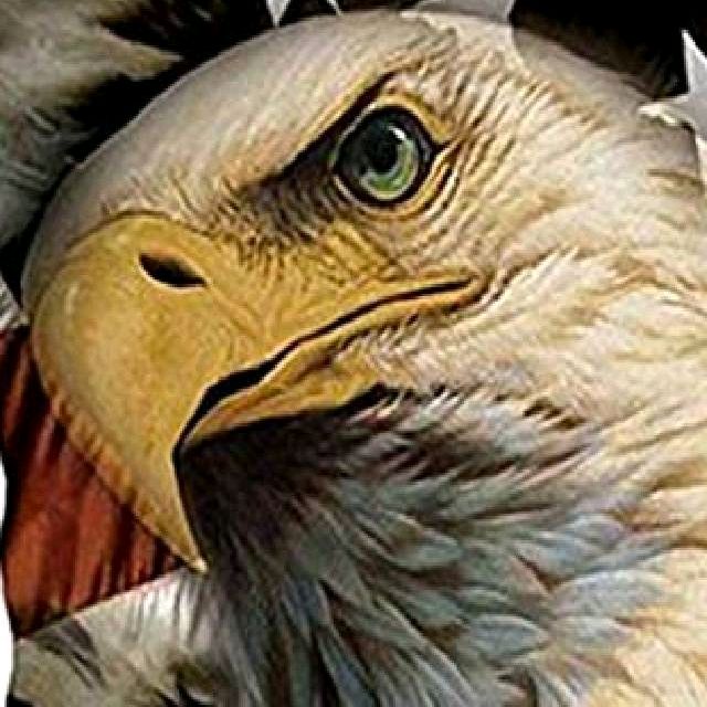 Profile Picture of matthew brasher (@matthewbrasher52) on Tiktok