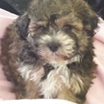 Profile Picture of Rona Sutton (@ronasutton) on Instagram