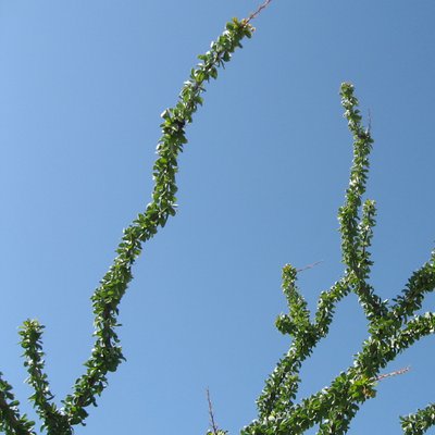 Profile Picture of Heather Maring (@Heather_Maring) on Twitter