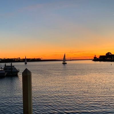 Profile Picture of Adam Laub (@alaub789) on Twitter