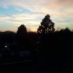 Profile Picture of Sean Dover (@seandover24) on Instagram