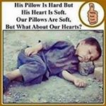 Sheikh Shiraz - Instagram Profile Picture of Sheikh Shiraz (@sheikh_shiraz_ss) on Instagram