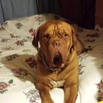 Kim Cordwell - Instagram Profile Picture of Kim Cordwell (@cordwellkim) on Instagram