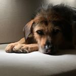 Profile Picture of Jon Wong (@jebolshevik) on Instagram