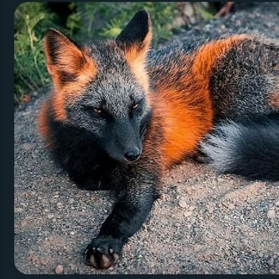 Profile Picture of J'ai Pas De Nom  😐 (@Aaron13241842) on Twitter
