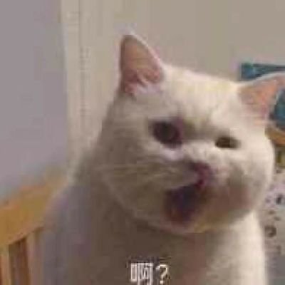 Profile Picture of QiuMo (@A7ygZFSpuAKgNJO) on Twitter