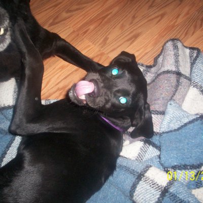 Profile Picture of Bradley Rickman (@bradleyrickman) on Twitter