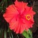Profile Picture of Laura Malinowski (@lmelon22) on Pinterest