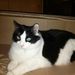 Profile Picture of Crystal Reamey (@creamey67) on Pinterest