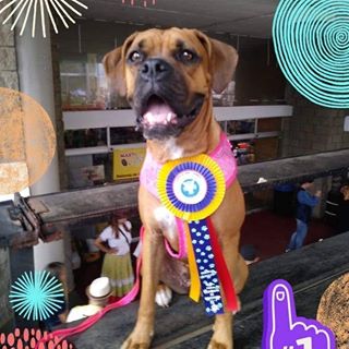 Profile Picture of Carlos Merchan (@Carlos-Merchan) on Facebook