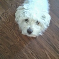 Profile Picture of Benjamin Coronado (@benjamin-coronado) on Quora