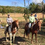 Profile Picture of Nancy Bower Bowling (@nancy.b.bowling) on Instagram