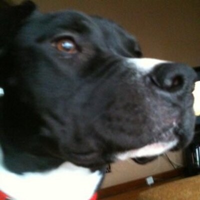 Profile Picture of Brian McMurray (@biggeruglier) on Twitter