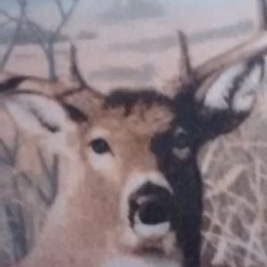 Profile Picture of Blair Clay (@blair_clay) on Twitter
