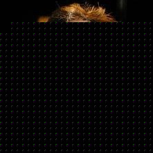 Profile Picture of Tony Feltner (@346001571) on Myspace