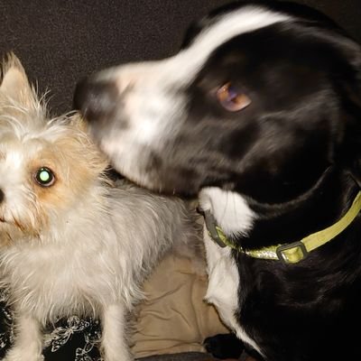 Profile Picture of Darrell Jenkins (@dazwhu3) on Twitter