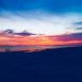 Profile Picture of Matt Petersen (@mattp9986) on Pinterest