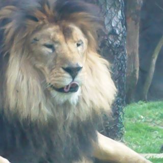 Profile Picture of Danny Huot (@danny.huot.9) on Facebook