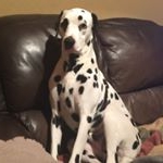 Profile Picture of Keith Taylor (@kingpippin) on Instagram