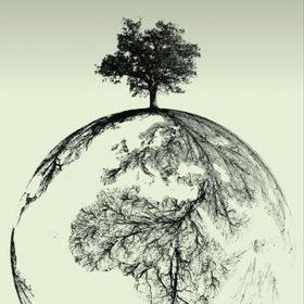 Profile Picture of Kelsie Clark (@kelc9009) on Pinterest