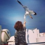 Roberta Galeazzi - Instagram Profile Picture of Roberta Galeazzi (@robigale65) on Instagram