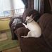 Profile Picture of Jerry Mathis (@jerry.mathis.1042) on Facebook