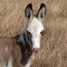 Profile Picture of Howard Packer (@howard.packer.14) on Facebook