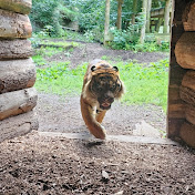 Profile Picture of Carl Bailey (@carlbailey3130) on Youtube