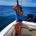 Profile Picture of Amber Pine (@apine) on Pinterest