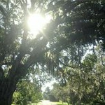 Profile Picture of Catherine Reddick (@chreddick) on Instagram