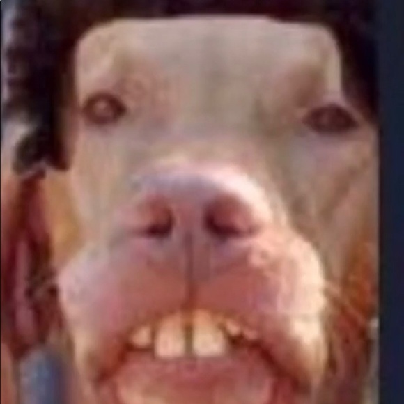 Profile Picture of Logan Gluth (@logan_gluth) on Poshmark