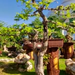 Profile Picture of Alex Ayon (@alex.ayon.376) on Facebook