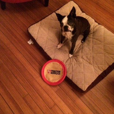 Profile Picture of Michael Sheely (@sheely_michael) on Twitter