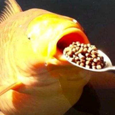 Profile Picture of Jared Polansky (@JaredPolansky75) on Twitter