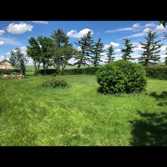 Profile Picture of Minhaj Ahmed (@minhajahmed) on Poshmark