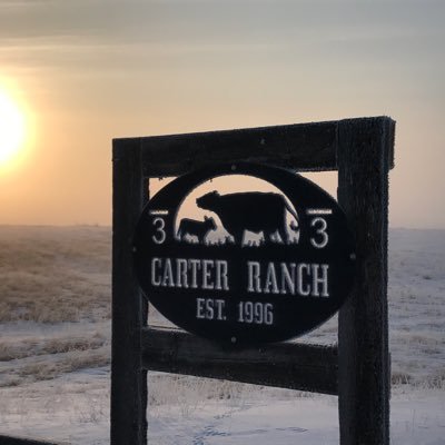 Profile Picture of Tamara Carter (@TamaraCarter20) on Twitter