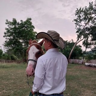 Profile Picture of Ariel Alvarado (@arielalvaradojr) on Instagram