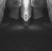 Profile Picture of Haley Painter (@haley.painter.752) on Facebook