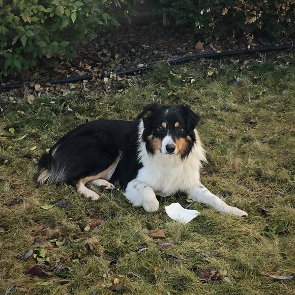 Profile Picture of Janet Parsley lydin (@lydin1994) on Poshmark