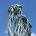 Profile Picture of Ailise James (@filmjams) on Pinterest