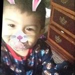 Profile Picture of Melissa Arreola (@arreola4274) on Instagram