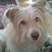 Profile Picture of Michel Aegerter (@michel.aegerter.3) on Facebook