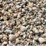 Profile Picture of Kaylee Barron (@adventure369) on Instagram