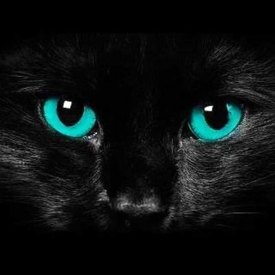 Profile Picture of Tina Murdock (@TinaMurdock15) on Twitter