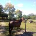 Profile Picture of Jose Lizcano (@jose.lizcano.9231) on Facebook