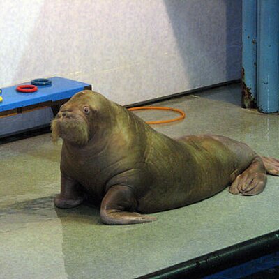 Profile Picture of Simon Ponder (@SimonPonder) on Twitter