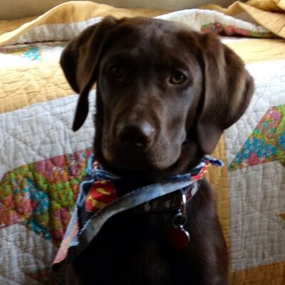 Profile Picture of Ian Broome (@broome1961) on Twitter