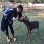 Profile Picture of Rachel Yong (@racatulous) on Instagram
